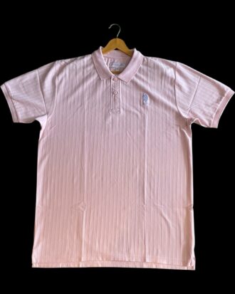 US POLO ASSN COLLARED TSHIRT